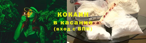 PSILOCYBIN Белокуриха