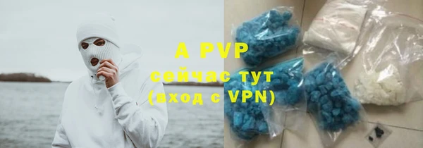 PSILOCYBIN Белокуриха