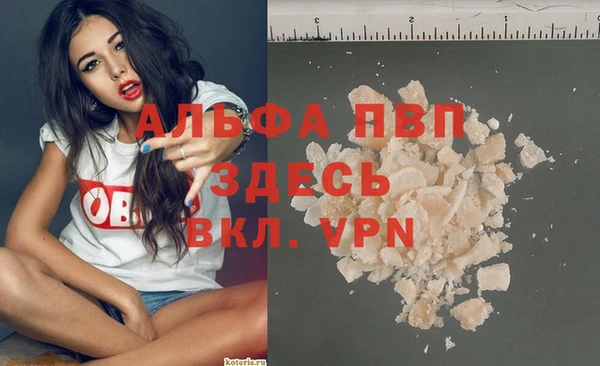 эйфоретик Беломорск