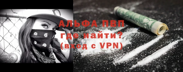 PSILOCYBIN Белокуриха