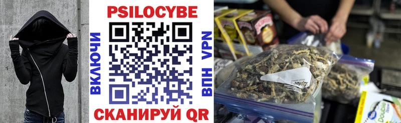 Псилоцибиновые грибы Magic Shrooms  продажа наркотиков  Губкинский 