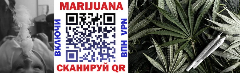 закладка  Губкинский  Каннабис индика 